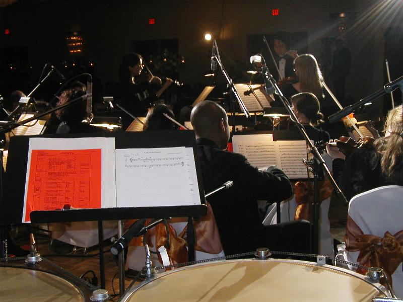 ORCH1.JPG (69672 bytes)